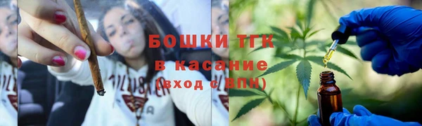 стаф Нефтегорск